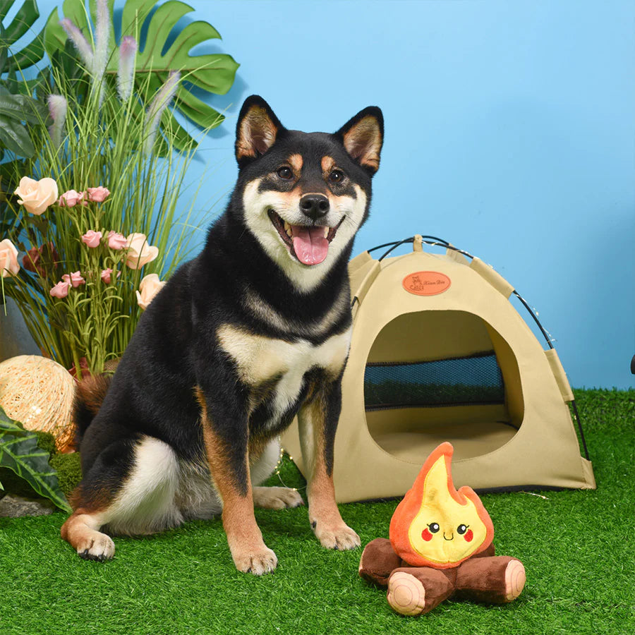 Happy dog sitting next to a small tent and the hugsmart campfire plush toy with plants and flowers in the background