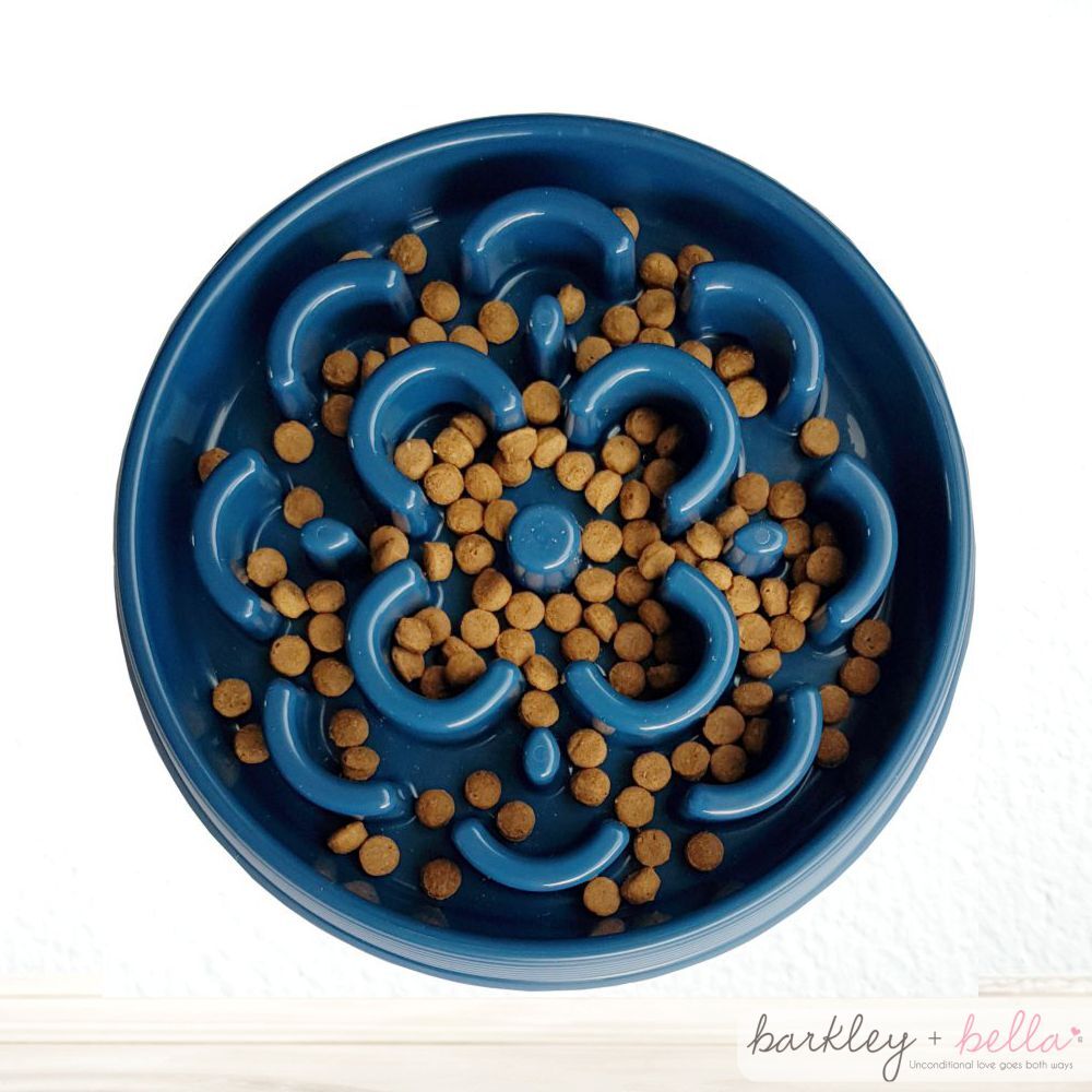 Blue slow feeding pet food bowl filled with kibble on a white background