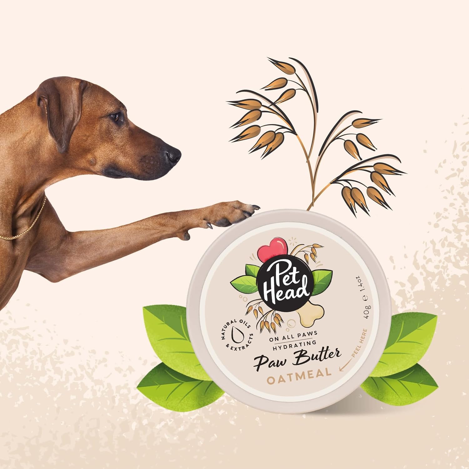 Pet Head Oatmeal Paw Butter with a dog and oats on a beige background