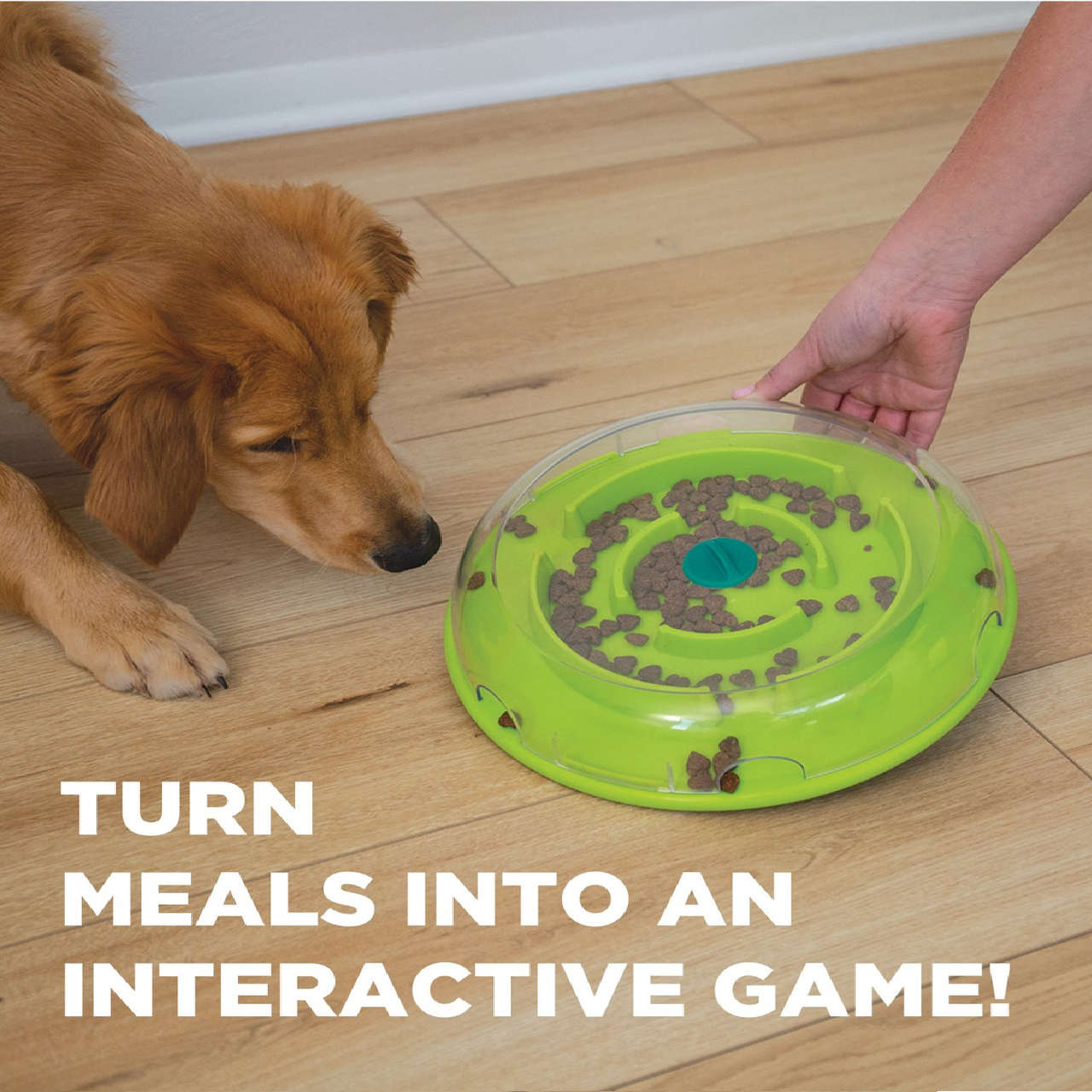 Dog interacting with a green interactive pet toy on a wooden floor.