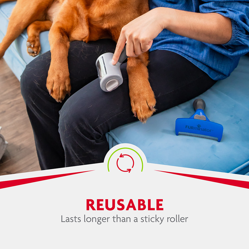Person sitting with a dog cleaning their pants with the furminator pet fur cleaning tool, sitting on a blue surface.