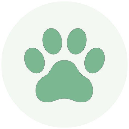 Ready Steady Pets logo of a green paw print on a white background
