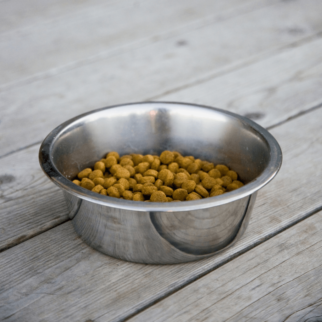 Stainless steel bowl filled with dog kibble on a wooden floor