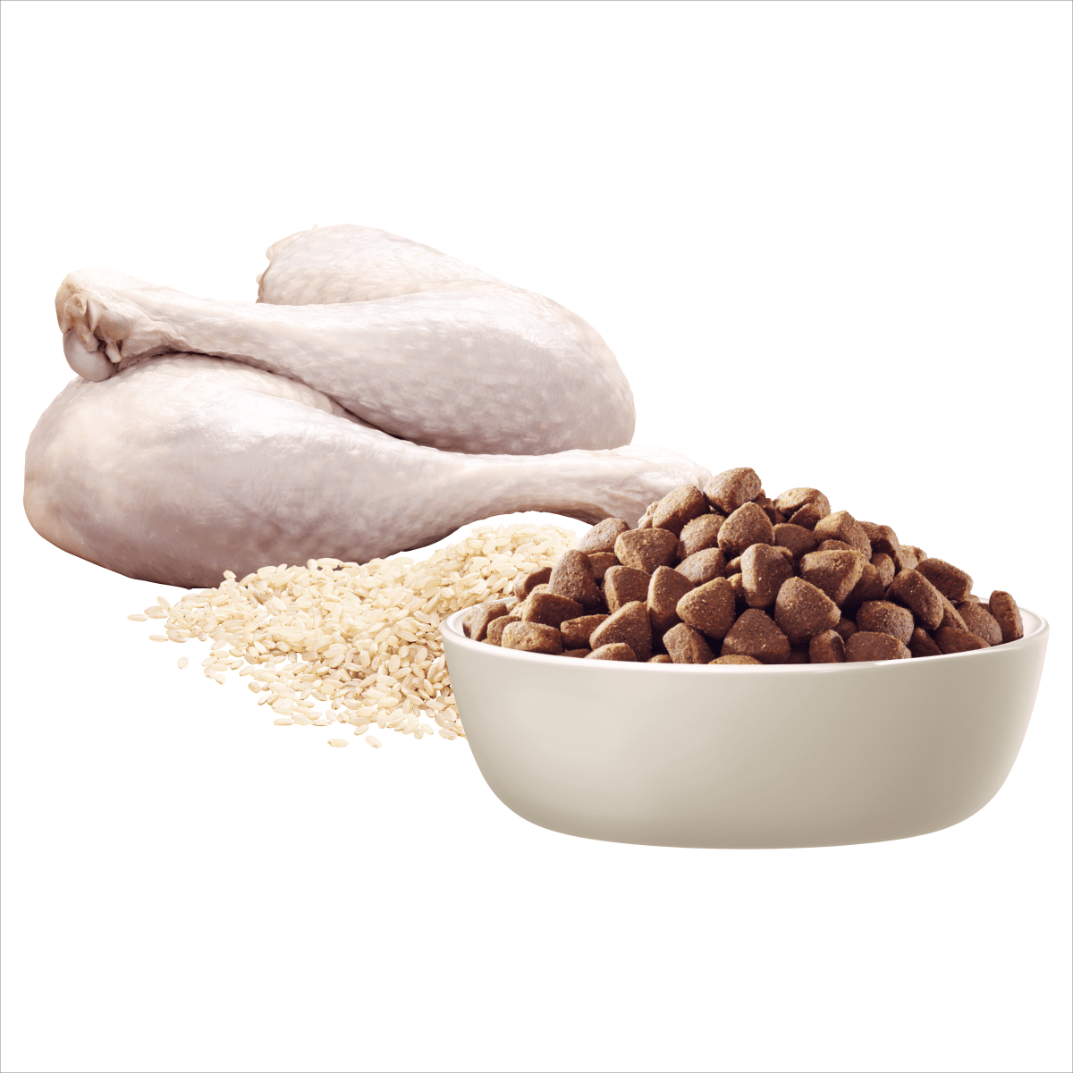 Advance Adult Dry Dog Food - Large Oodles - Turkey with Rice - Ready Steady Pets