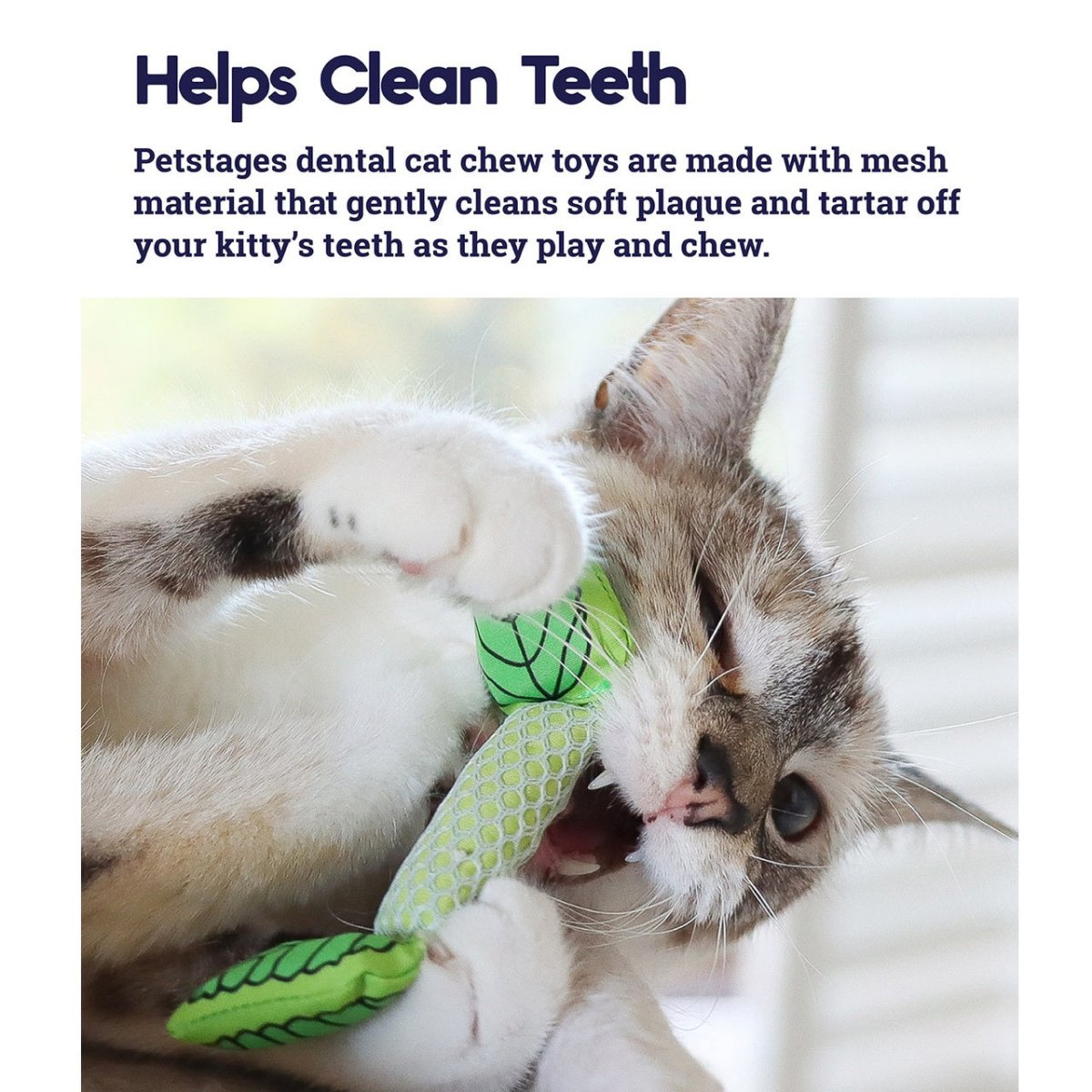 Catstages - Fresh Breath Mint Stick Cat Toy - Ready Steady Pets
