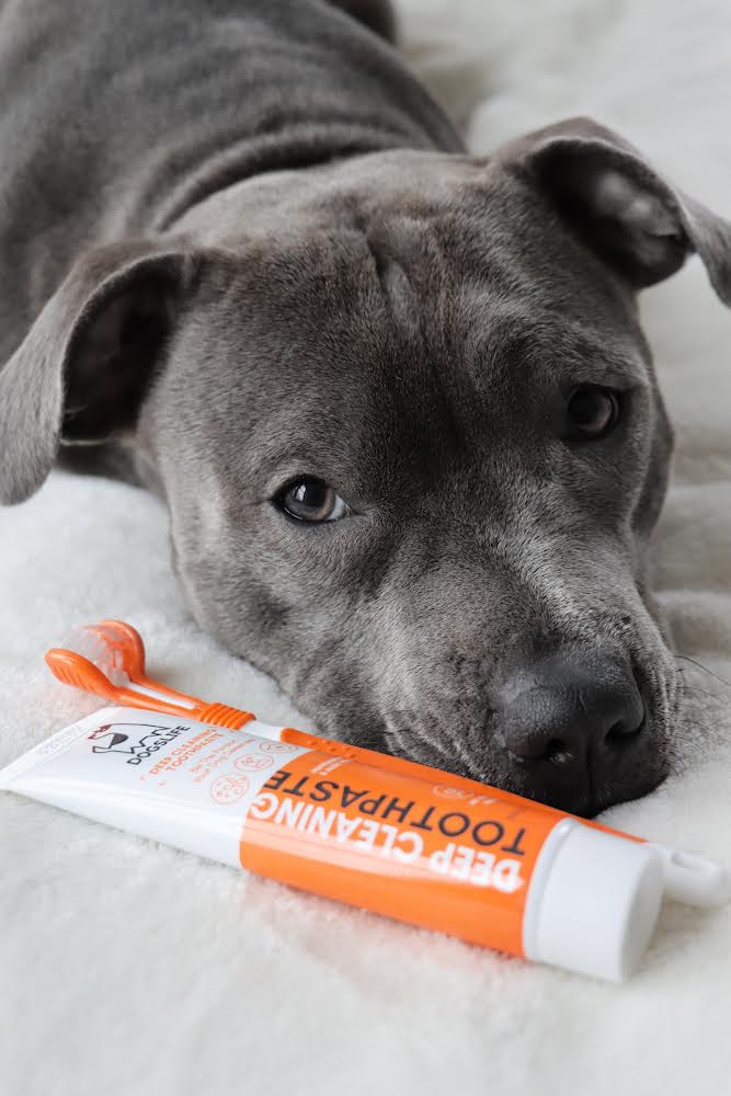 Dogslife Deep Cleaning Toothpaste - Ready Steady Pets