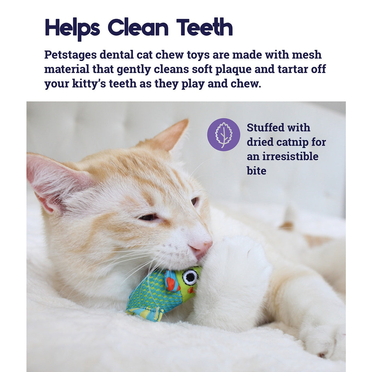 Cat playing with a dental chew toy, text about petstages dental cat chew toys.
