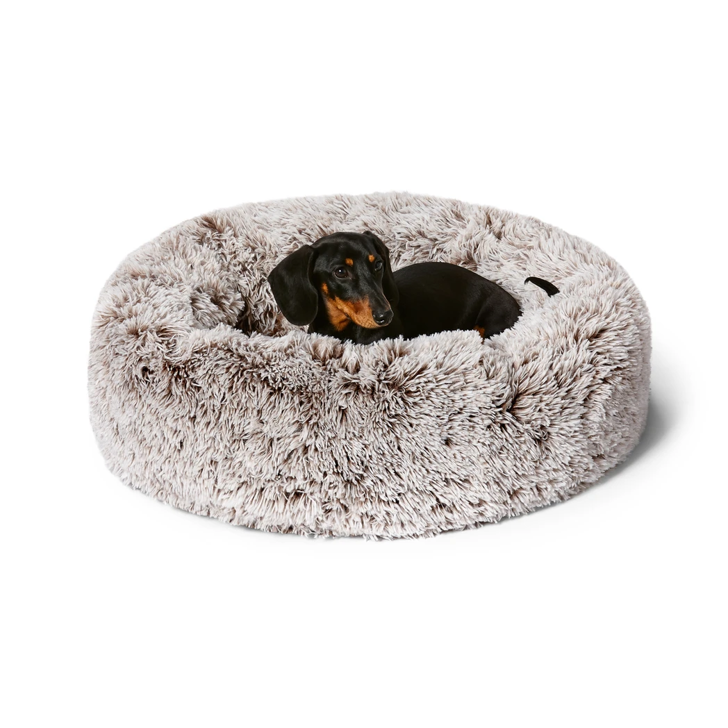 Dachshund dog lying on a fluffy beige Snooza pet bed against a white background