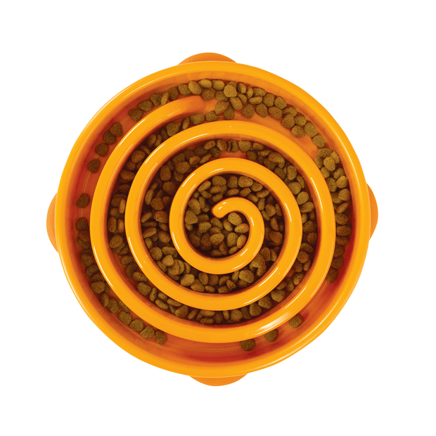 Orange slow feeder pet bowl with spiral design filled with kibble on a white background