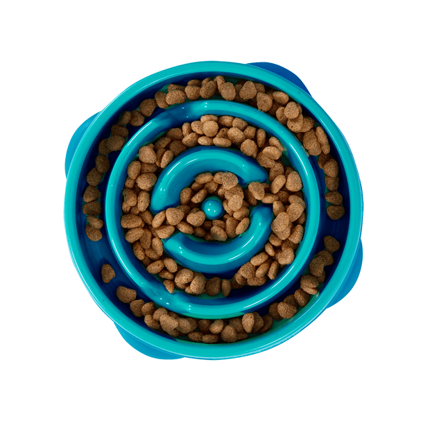 Blue slow feeding pet bowl with a spiral design filled with kibble on a white background