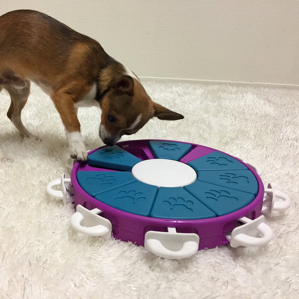 Outward Hound Nina Ottosson Dog Twister Puzzle (Level 3) - Ready Steady Pets