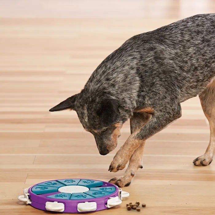 Outward Hound Nina Ottosson Dog Twister Puzzle (Level 3) - Ready Steady Pets