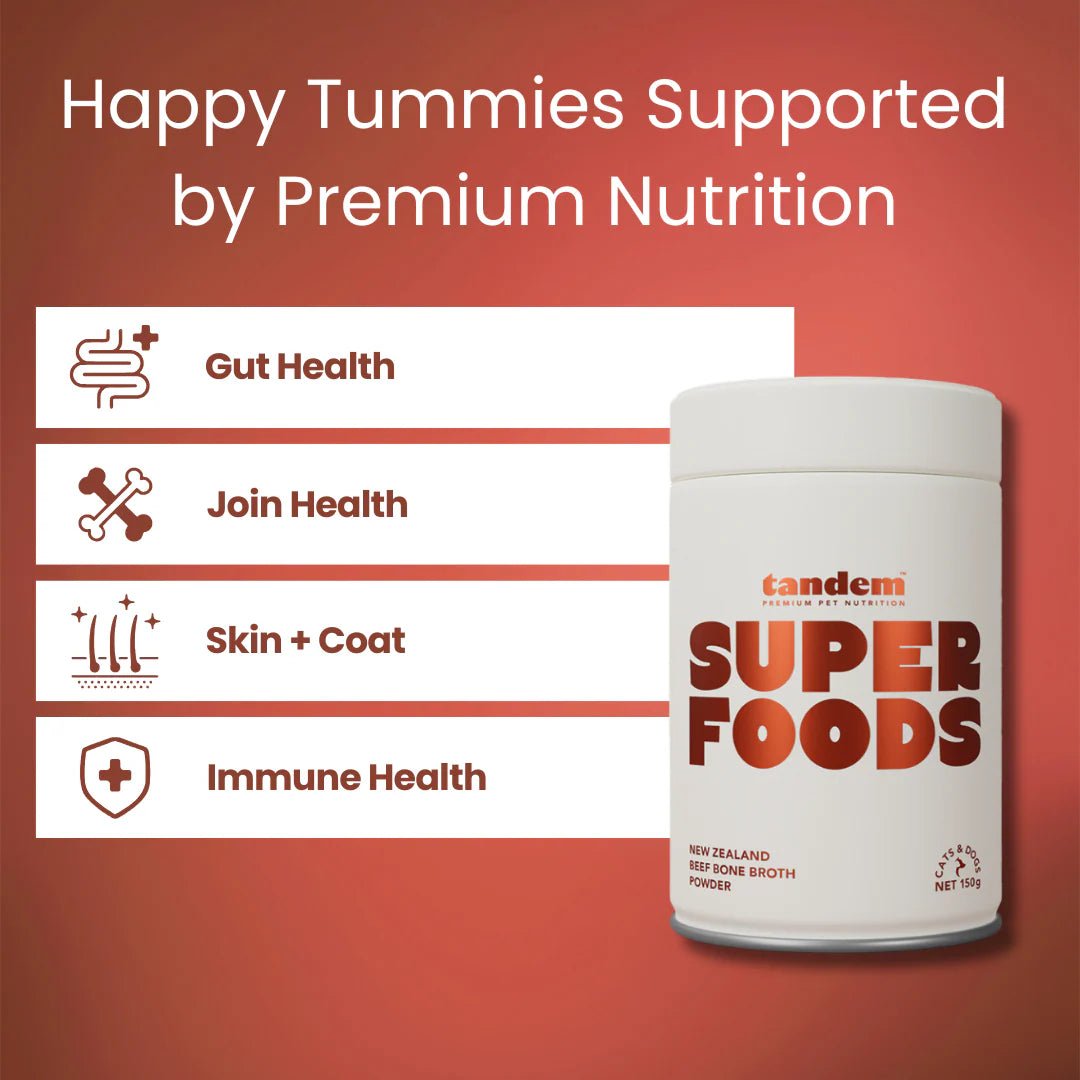 Tandem Super Foods New Zealand Beef Bone Broth Powder Cats and Dogs - Ready Steady Pets