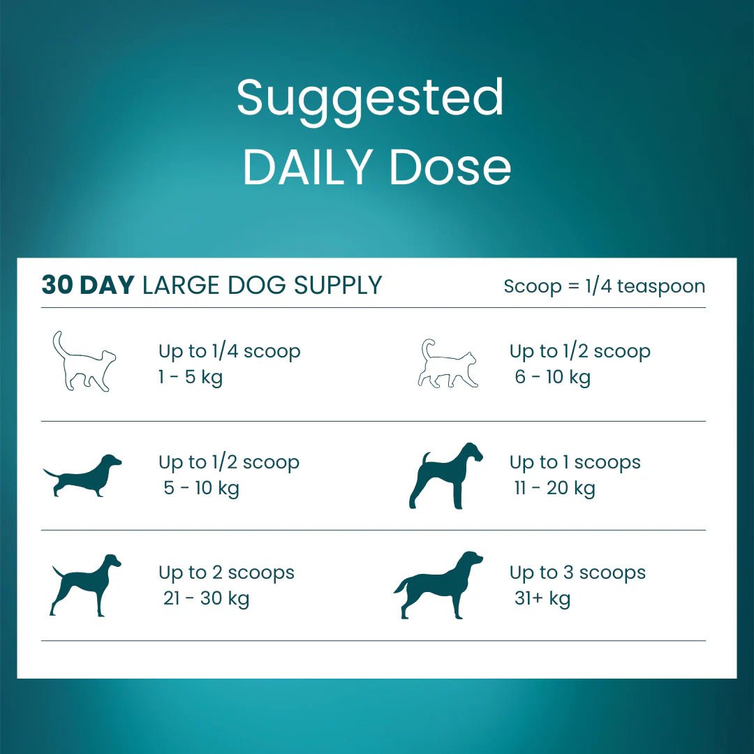 Tandem Super Foods New Zealand Green Lipped Mussel Powder Cats and Dogs - Ready Steady Pets