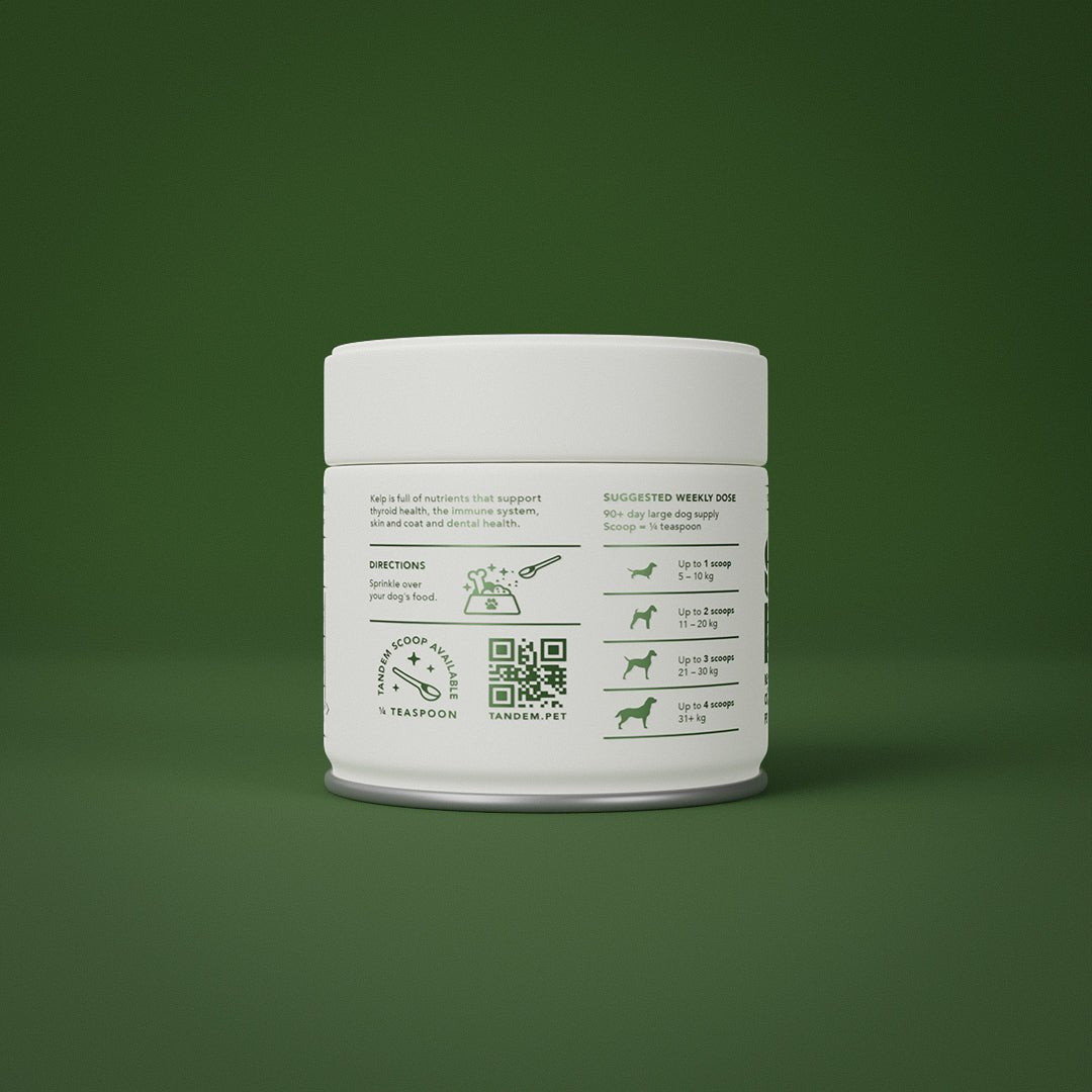 Tandem Super Foods New Zealand Organic Kelp Powder Cats & Dogs - Ready Steady Pets