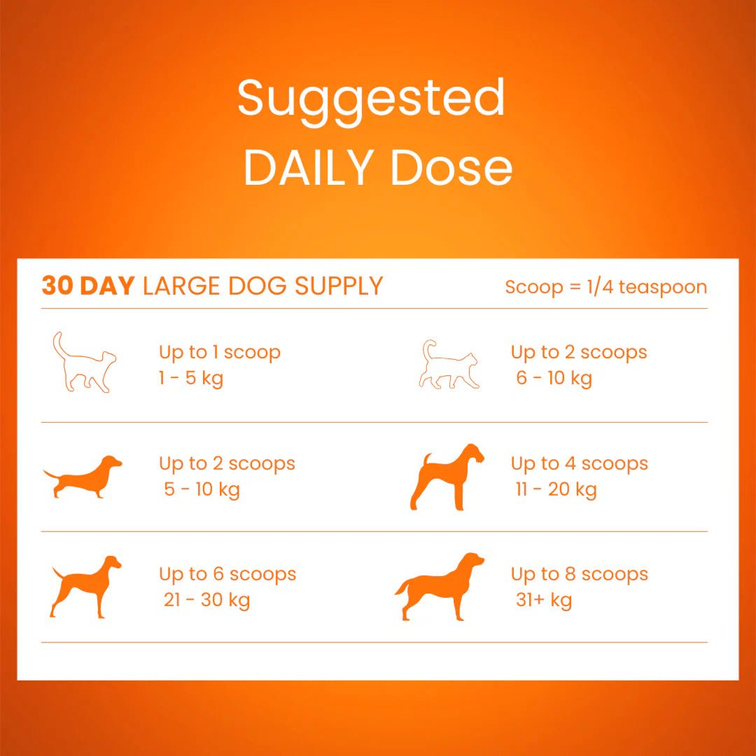 Tandem Super Foods New Zealand Pumpkin Powder Cats and Dogs - Ready Steady Pets