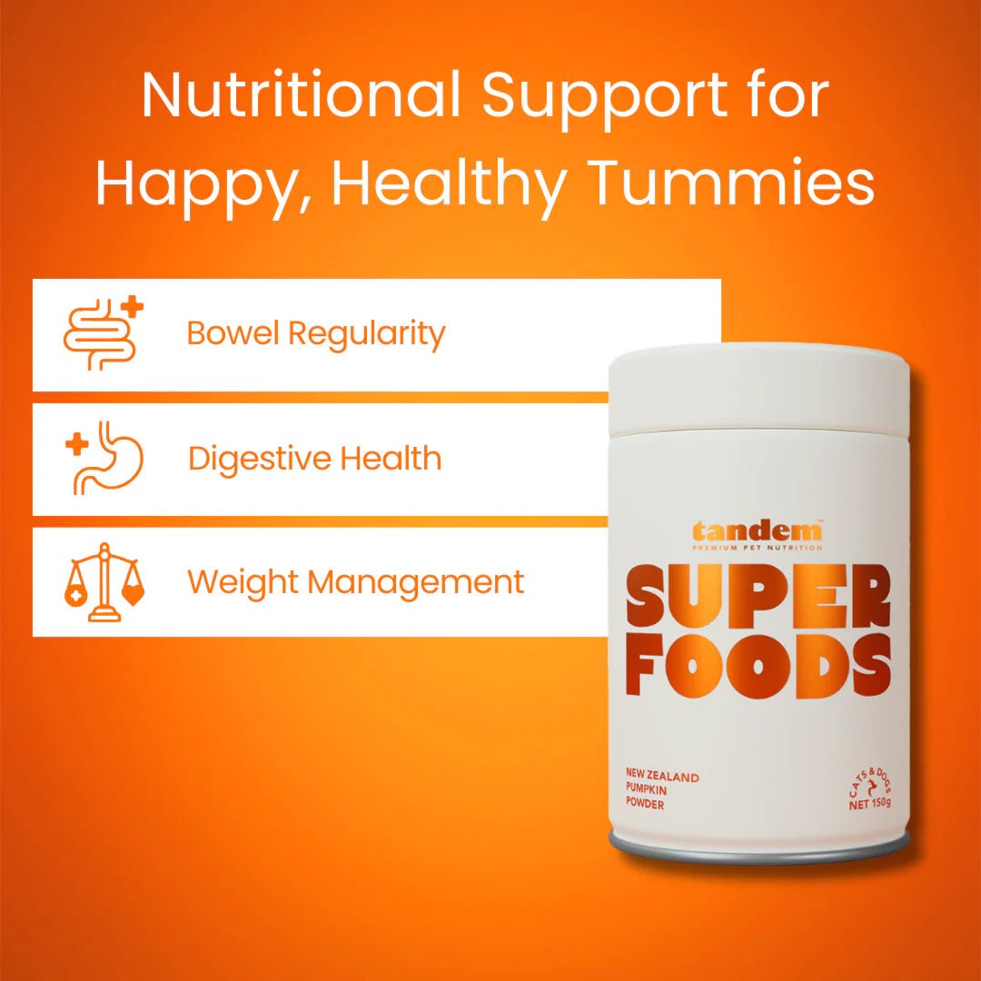 Tandem Super Foods New Zealand Pumpkin Powder Cats and Dogs - Ready Steady Pets