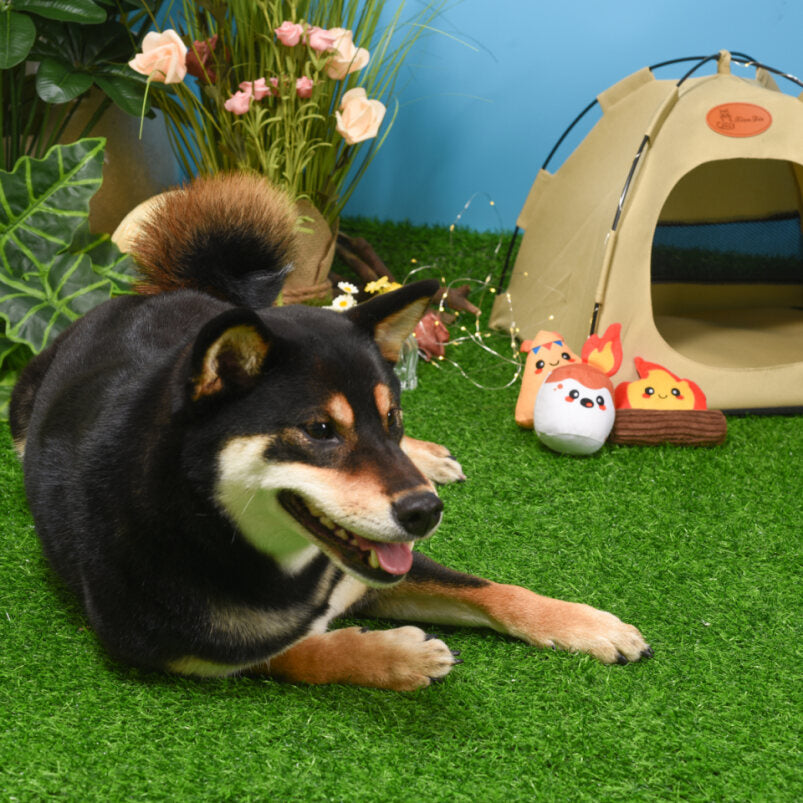 Happy dog lying on grass with a small tent and HugSmart pet plush toys in the background sitting next to each other
