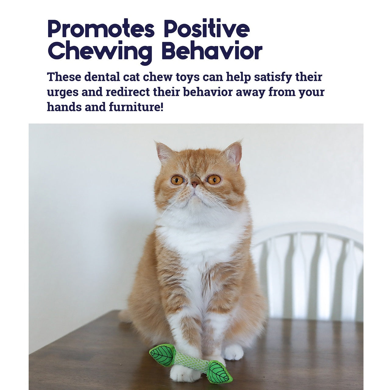 Cat sitting on a table with a dental chew toy, text promoting positive chewing behavior.